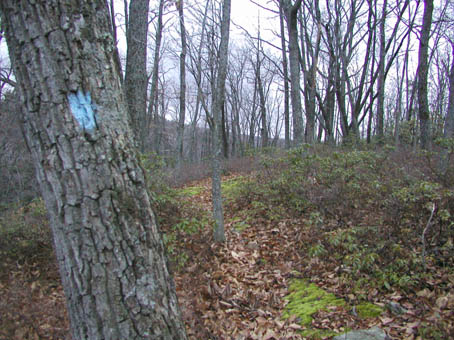 07-The Gore Vista Trail