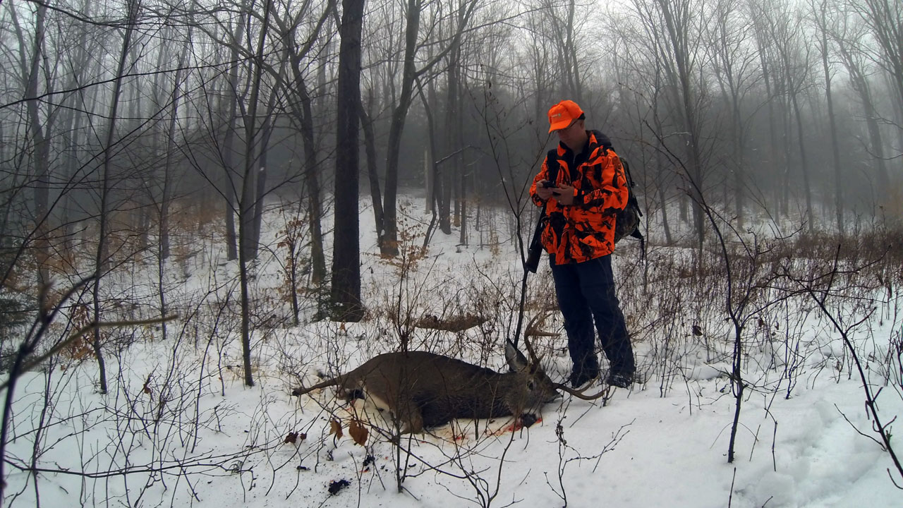 Deer_7pt-20131203_0752b